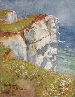 Beachy: BEACHY HEAD/BALL/1906