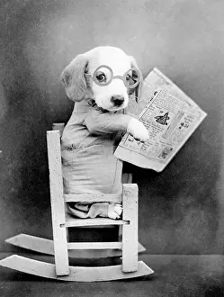 Newsreader: BEAGLE NEWSREADER