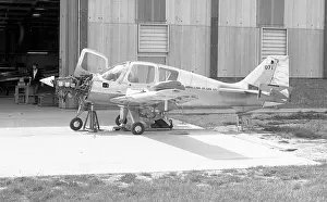 Nearing: Beagle Pup G-AXHK