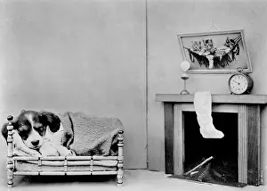 Mantlepiece: BEAGLE WAITS FOR SANTA