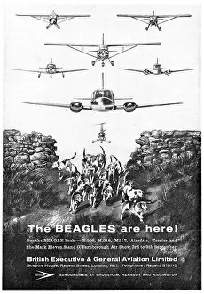 Beagles: The Beagles Are Here!