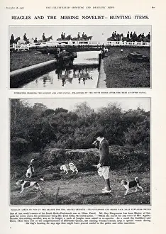 Iln - Consolidated Archive Holdings Ltd: Beagles and the Missing Novelist: Hunting Items
