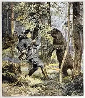 Presumed: BEAR AND ARCHDUKE
