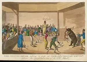 Charley: Bear Baiting, 1821