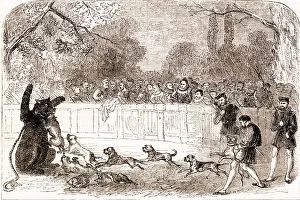 Barbaric: Bear Baiting