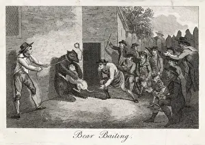 Baiting: Bear Baiting - circa 18th century