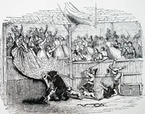 Baiting: Bear baiting with dogs, 1842