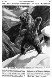 Arctos: Bear believed responsible for 1937yeti footprints on Everest