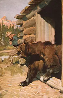 Aims: Bear, Cabin and Hunter