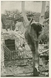Railings: The Bear Cave, Lincoln Park, Chicago, Illinois, USA