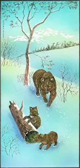 Samaraweera: Bear and two cubs in the snow
