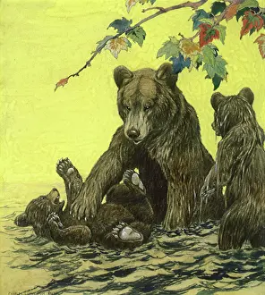 Ursa: Bear and Cubs in Water