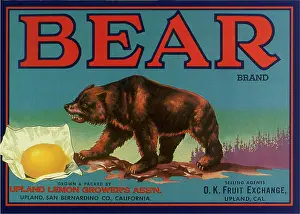 Fangs: Bear Fruit Label