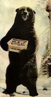 Enjoys: Bear Has Last Laugh