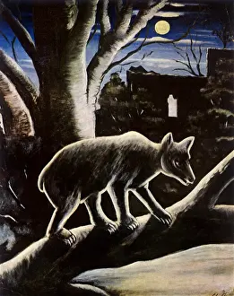 Ursa: Bear on a Moonlit Night