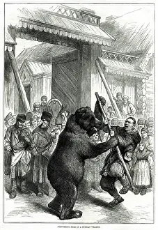 Engage: BEAR PERFORMS FIGHT 1877