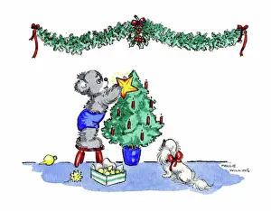 Willing: Bear putting star on Christmas tree