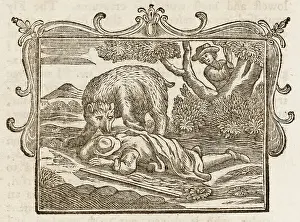 Fend: Bear and the Travellers