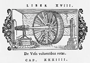 Olaus: BEAR TURNS WHEEL/OLAUS