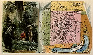 Frontiersmen: Bear vs. Frontiersmen