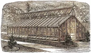 Conservatories: Beard's greenhouse