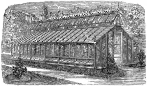 Conservatories: Beard's greenhouse
