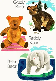 Grizzly: Bears
