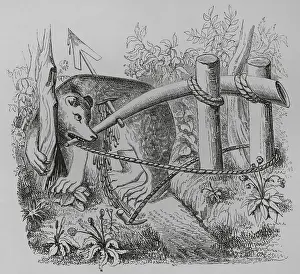 Lacroix: How bears and other beasts may be caught with