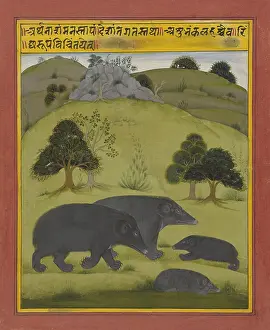 Rooks: Bears in a Landscape