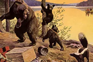 Scramble: Bears, Skunk, Campsite