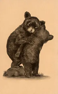 Embraces: Bears Try to Dance