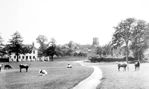 Bearsted: Bearsted, the Green 1898