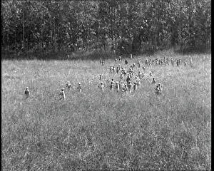Beaters: Beaters Walking Through High Grass on a Hunt