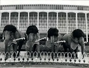 Yeah: Four Beatles elephants with wigs and guitars, Denmark