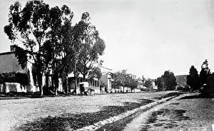 Ditches: Beaufort Street