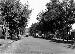 Grahamstown: Beaufort Street