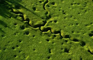 Maur: Beaumont-Hamel Newfoundland Park Memorial