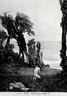 Knelt: To The Beautiful in Nature