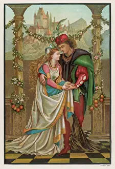 Transforms: BEAUTY/BEAST (BOYLE 2)