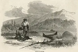 Trapping: BEAVER HUNTING/AMERICA