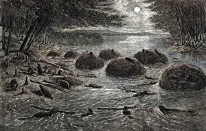 Beavers: BEAVER VILLAGE