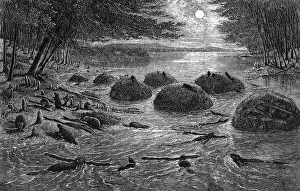 Nests: BEAVER VILLAGE