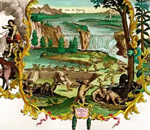 Beavers: Beavers At the Niagara Falls
