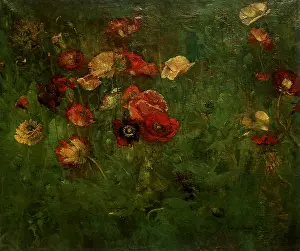 Poppies: Bed of Poppies