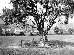 Beddgelert: Beddgelert, Gelert's Grave c1900