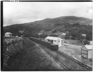 Beddgelert: BEDDGELERT SOUTH - 1925