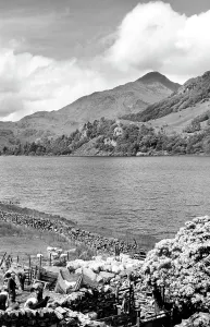 Beddgelert: Beddgelert, Yr Aran and Llyn Gwynant c1955
