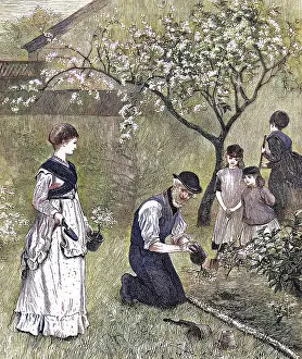 Trowel: BEDDING OUT IN JUNE 1870
