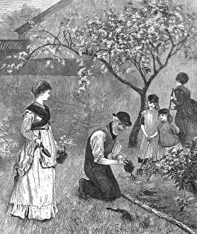 Bedding: BEDDING OUT IN JUNE 1870