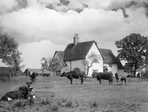 Barford: BEDFORDSHIRE FARMHOUSE